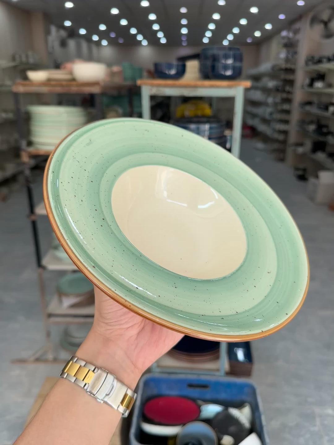 Leftover 9.5 inch Pasta Plate ( Breeze with brown rim )