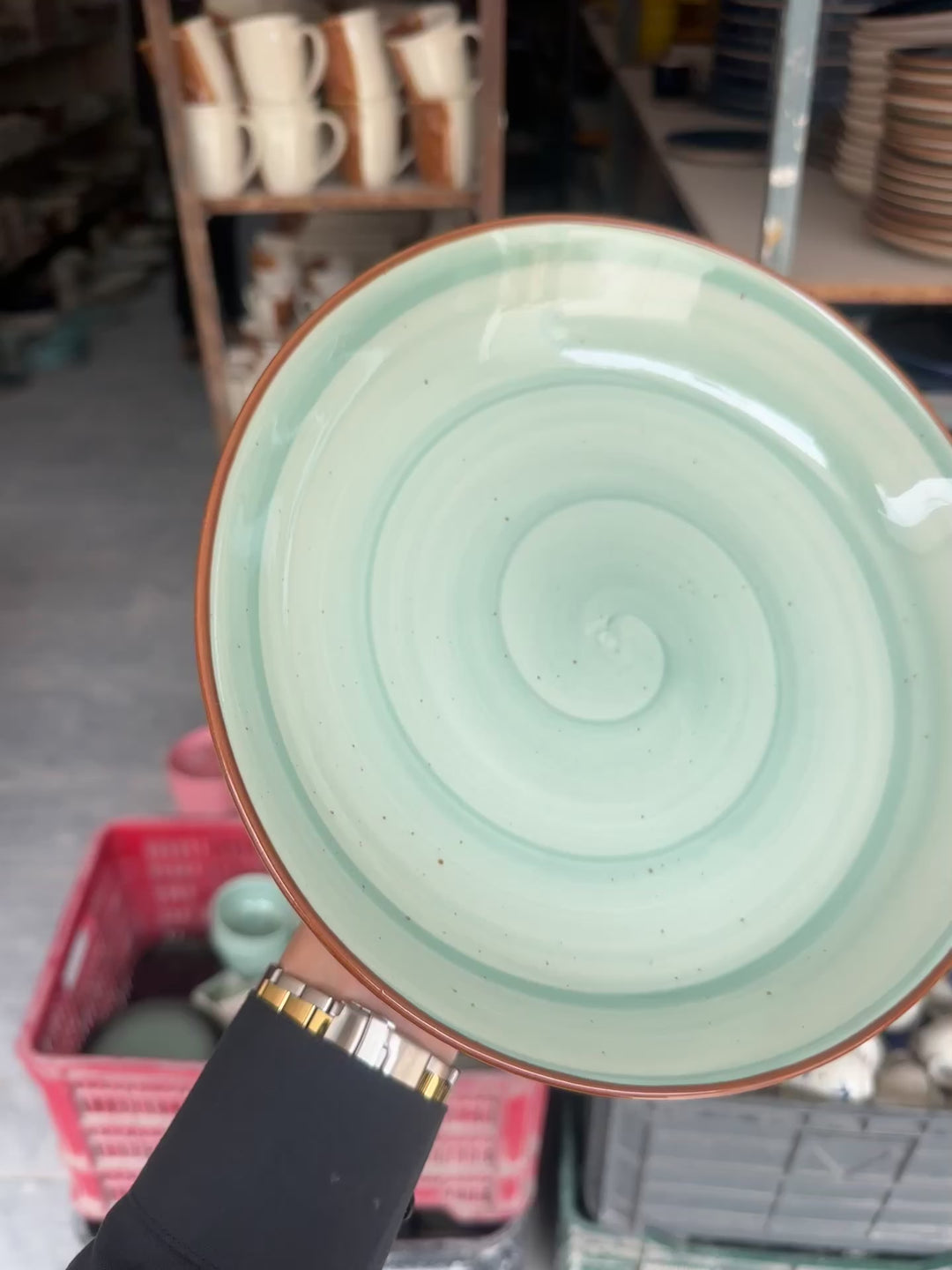 Leftover 10 inch Entree Bowl ( Breeze with brown rim )