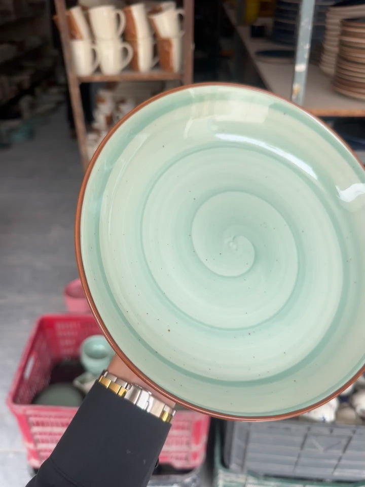 Leftover 10 inch Entree Bowl ( Breeze with brown rim )