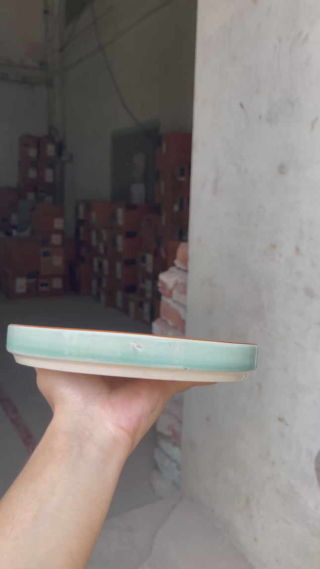 Leftover 8 inch Classic Plate ( Teal Colorline )