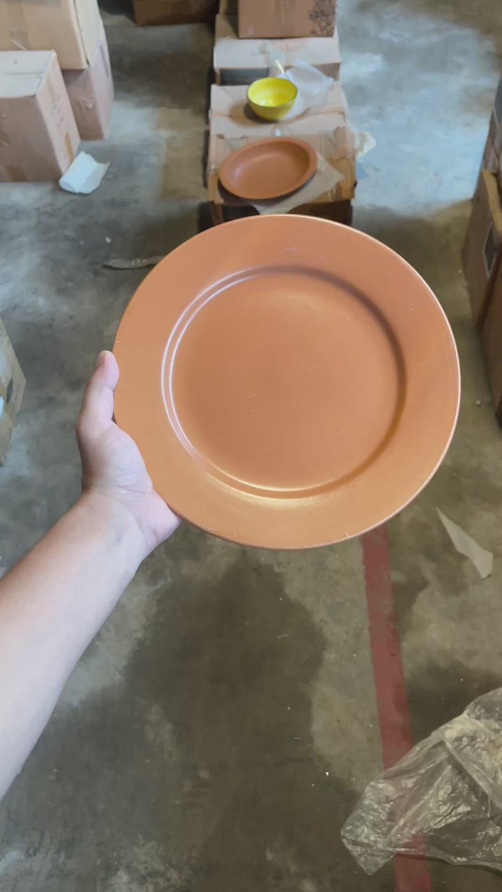 Leftover 10 inch Flat Plate ( Terracotta Matte )