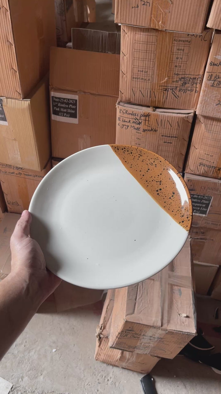 Leftover 10 inch Rimless Plate ( Sandstorm Series )