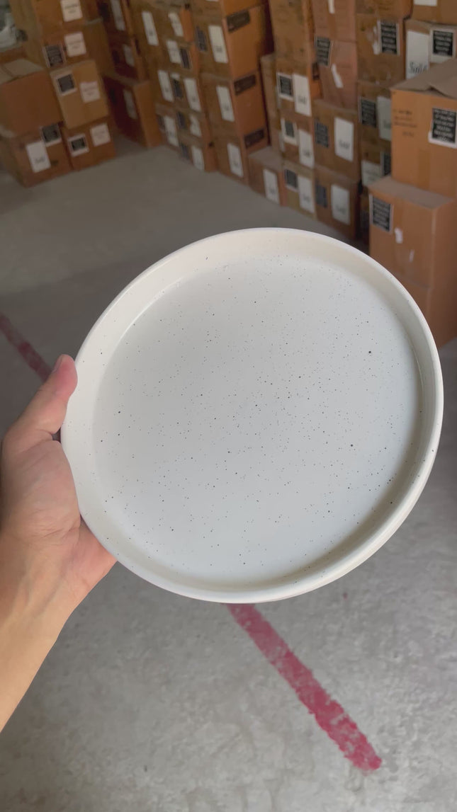 Leftover 8 inch Classic Plate ( White Matte Black Specks )