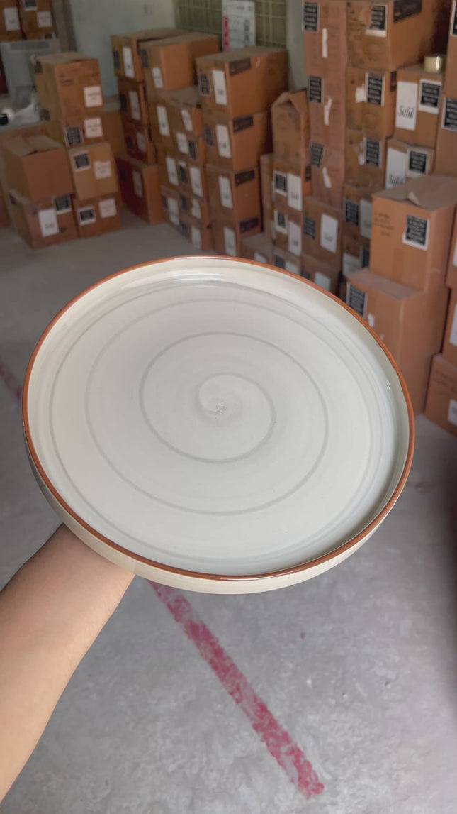 Leftover 10 inch Classic Plate ( Grey Colorline )