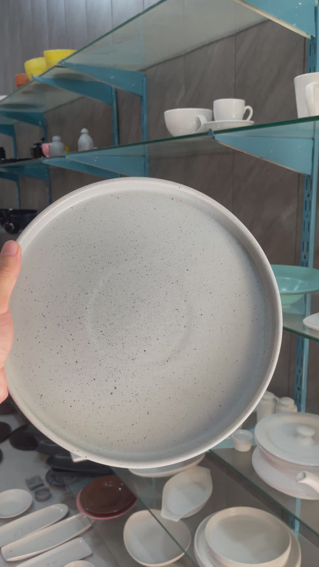 10 inch Classic Plate ( Grey Matte with Black Specks )