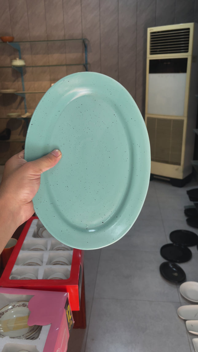 11" Rice Dish with Rim ( Firozi Matte with Black Specks )