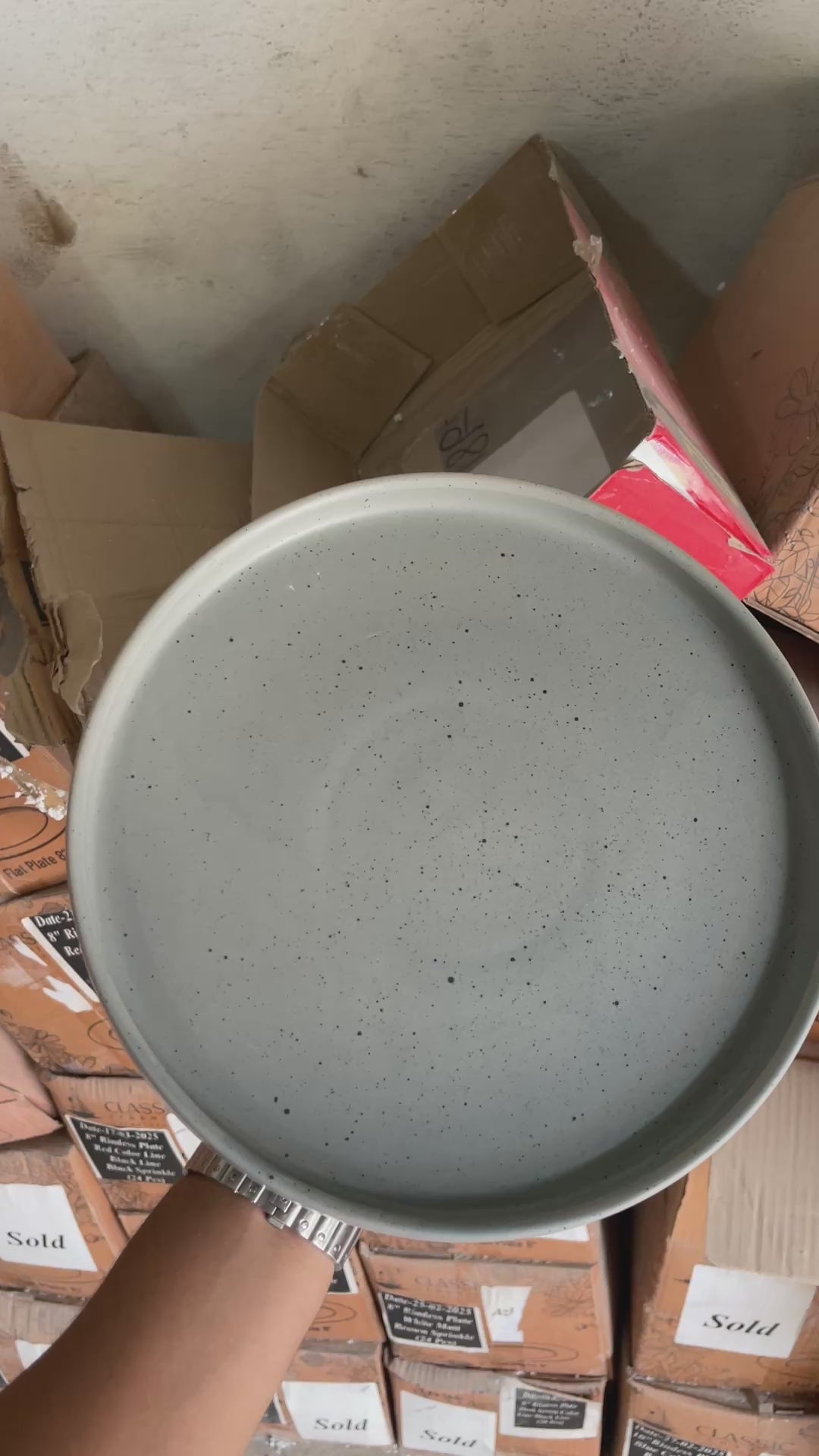 Leftover 10 inch Classic Plate ( Grey Matte with Black Specks )