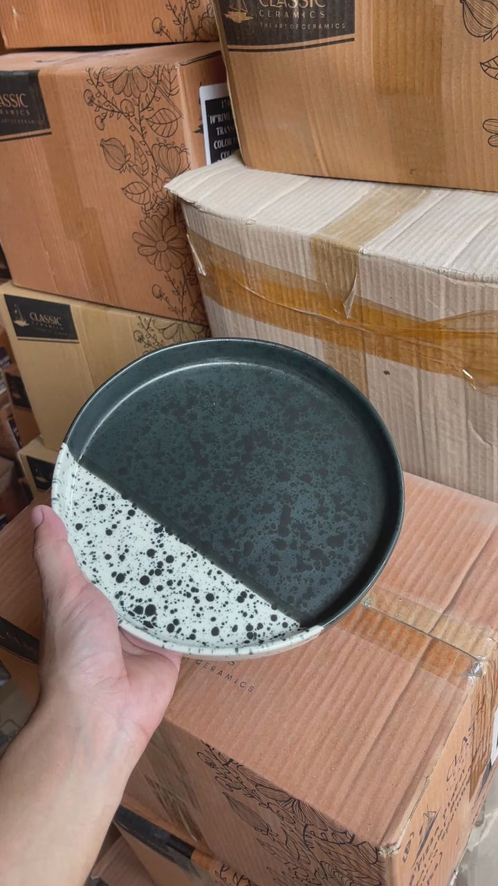 Leftover 8 inch Classic Plate ( Eclipse )