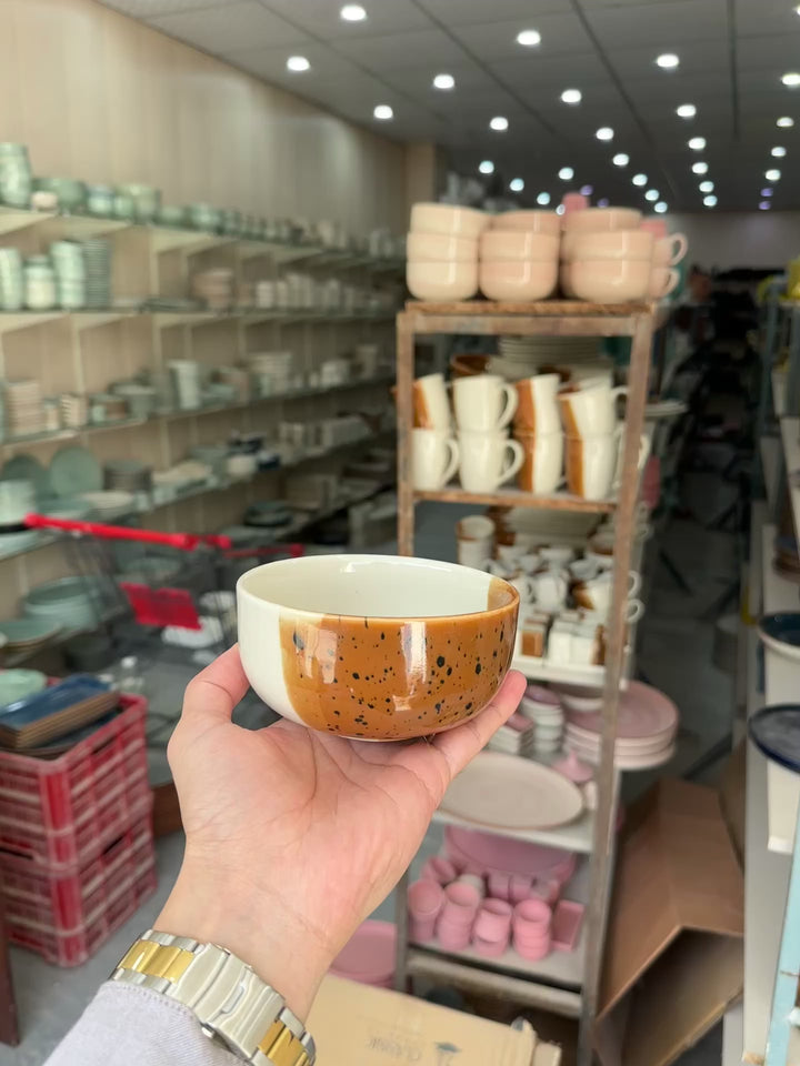 Leftover 4.5 inch Single Serving Bowl ( Sandstorm Series )