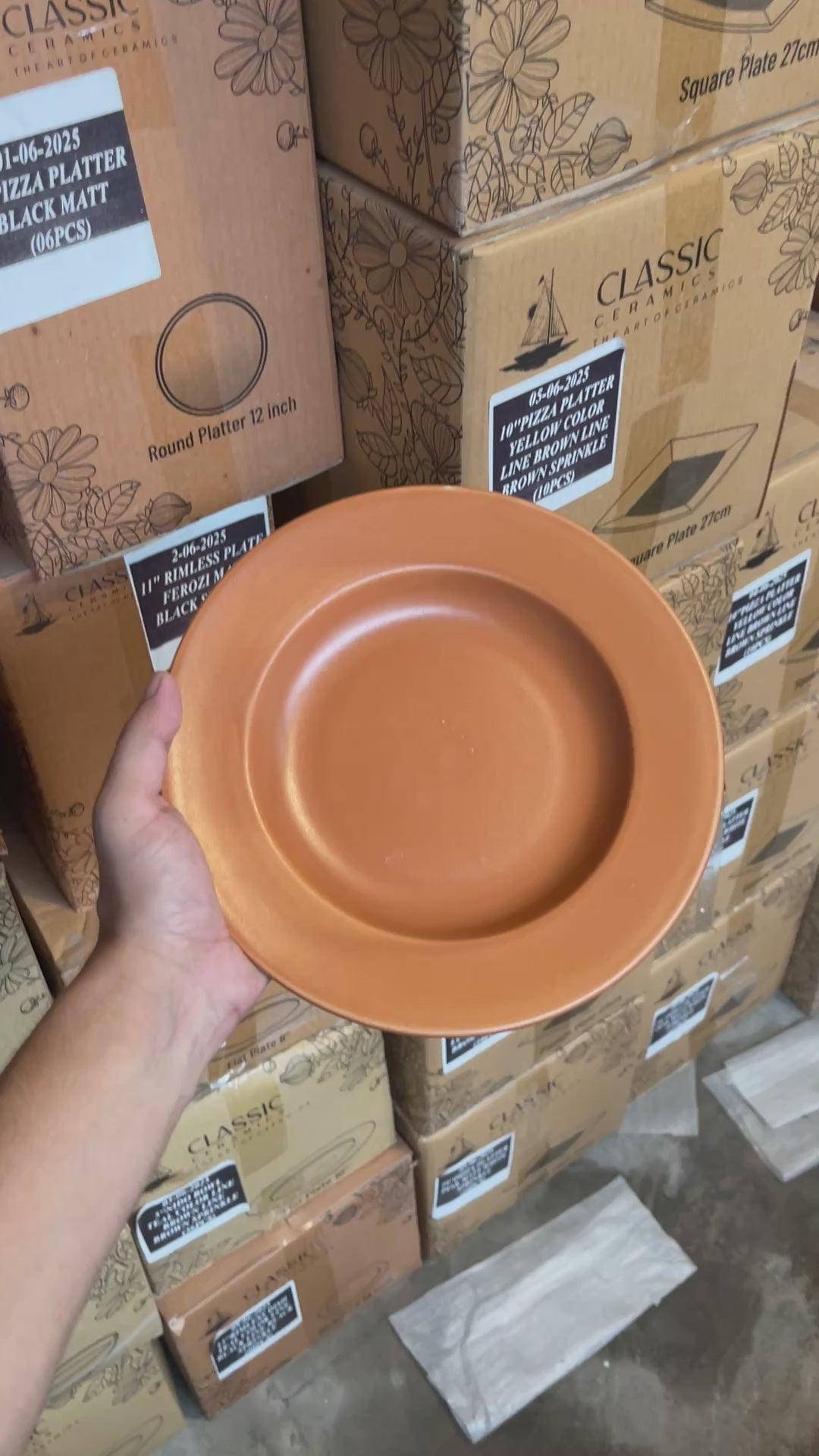 Leftover 9 inch Deep Plate ( Terracotta Matte )