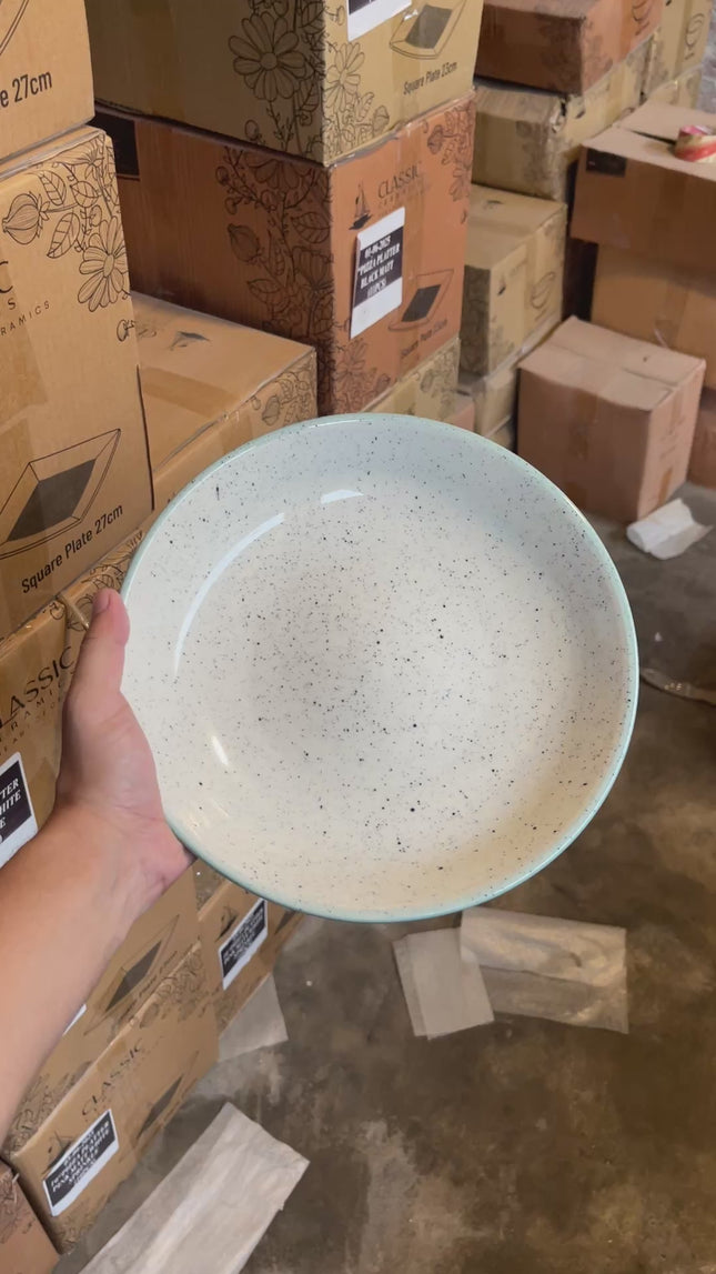 Leftover 10 inch Entree Bowl ( Outer Teal Inner Glossy Off-White with Specks )
