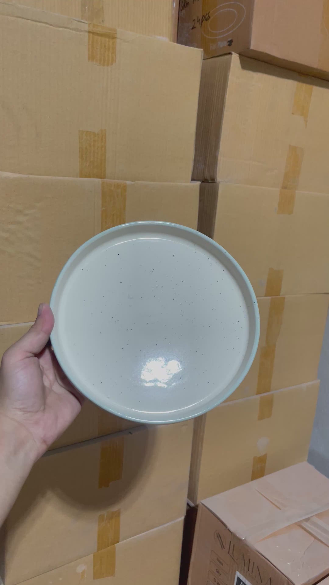 Leftover 8 inch Classic Plate ( Outer Breeze Inner Shiny Off White )