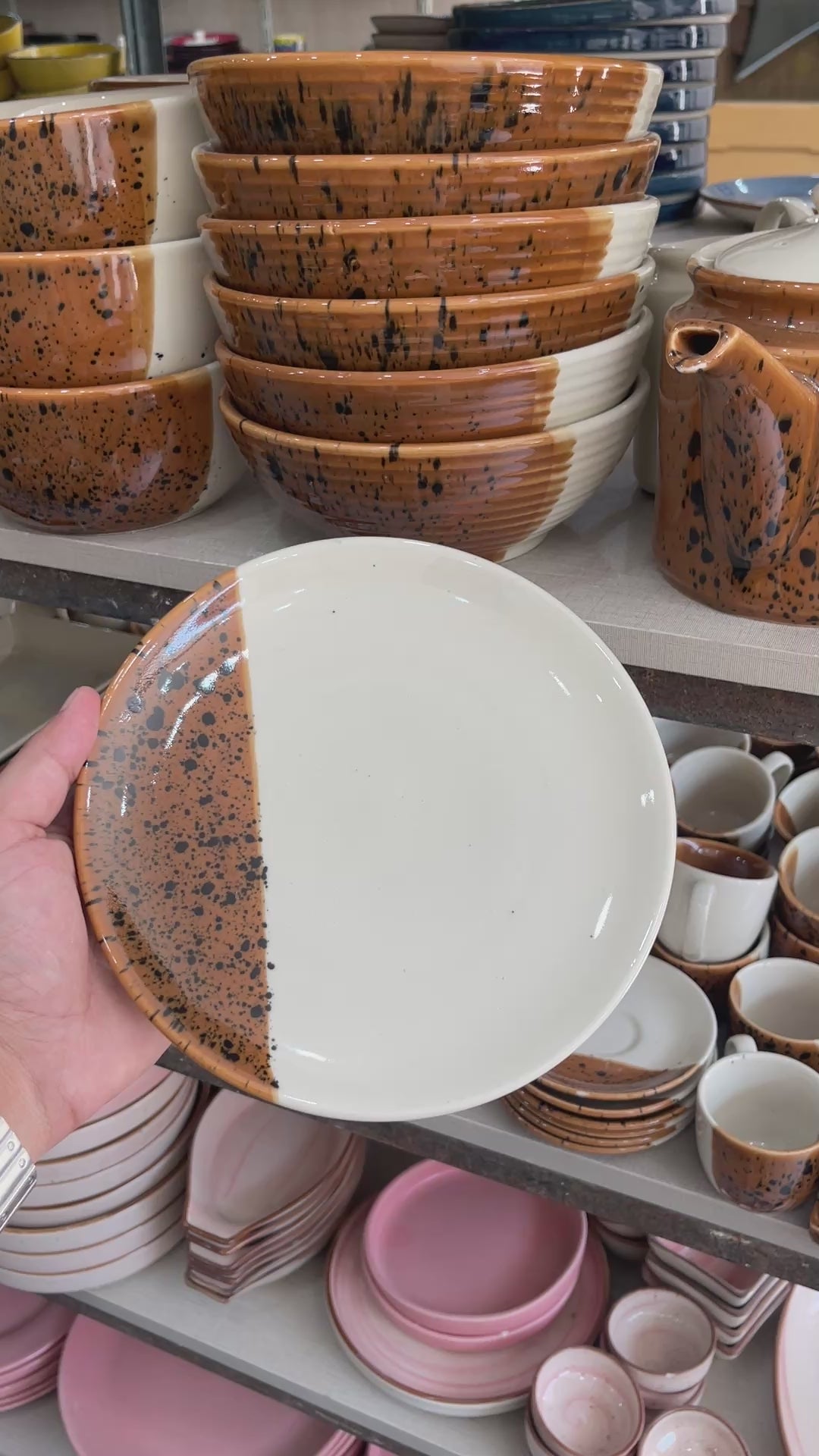 Leftover 8 inch Rimless Plate ( Sandstorm series )