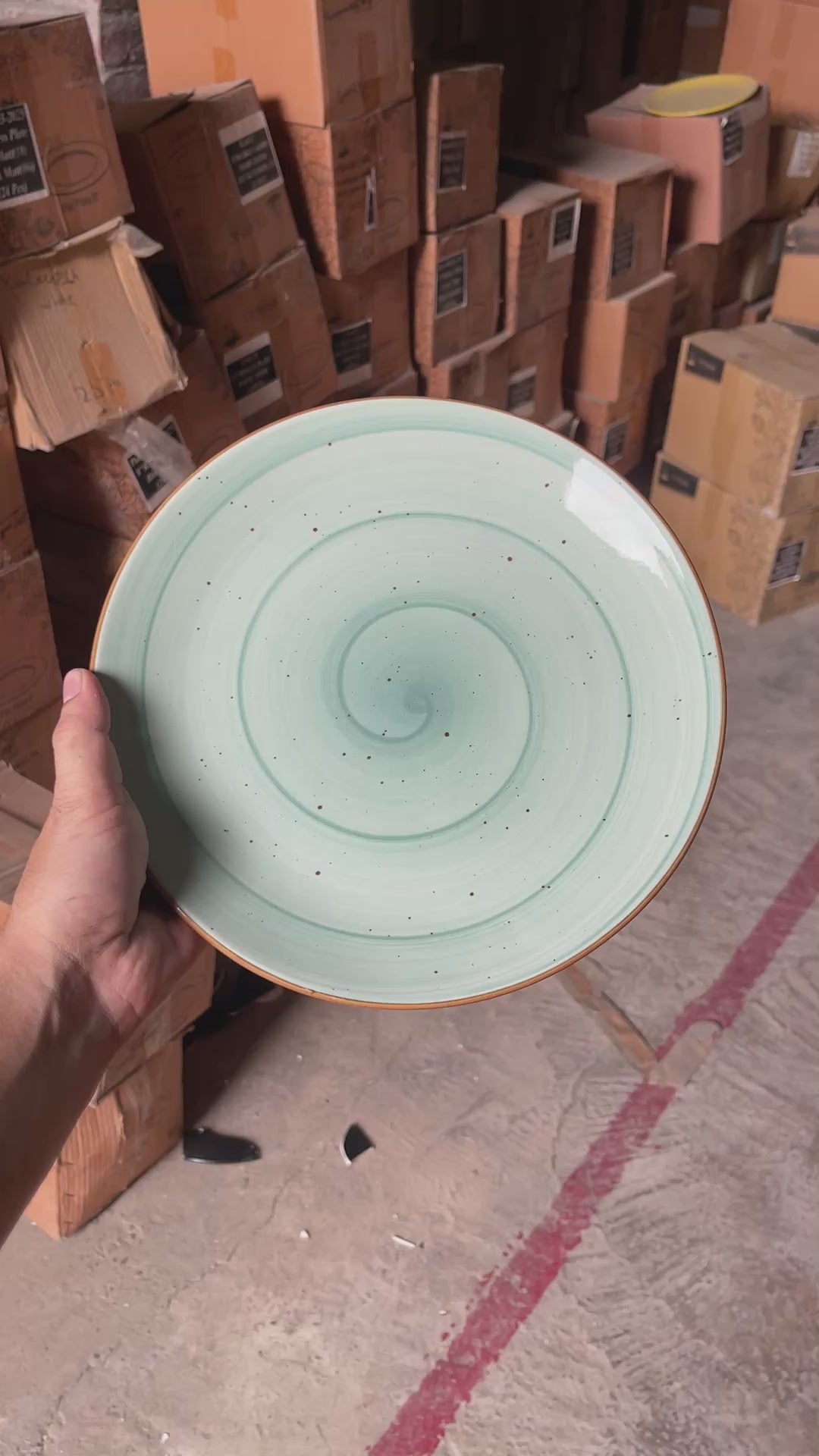Leftover 10 inch Rimless Plate ( Breeze )